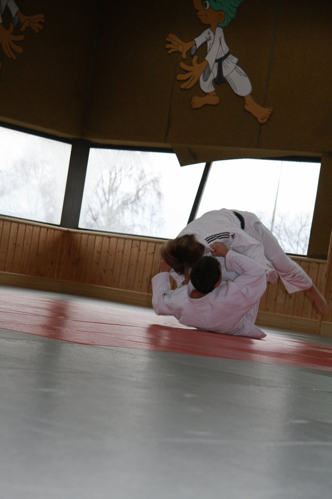 IMG-8445.jpg