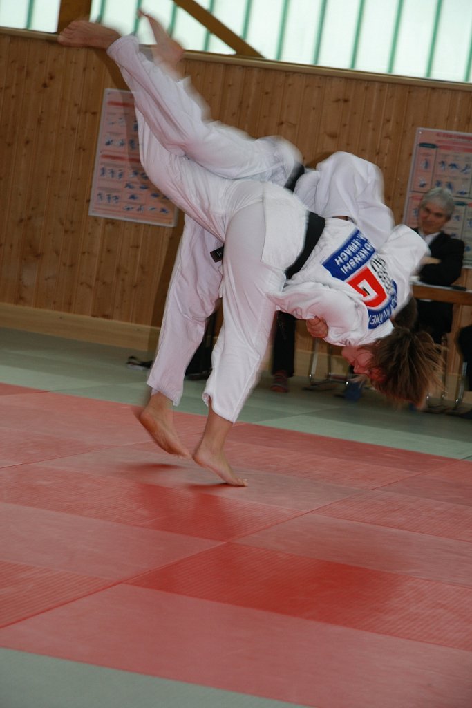 IMG-8501.jpg